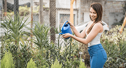 How to Grow Herbs Indoors Naturally
